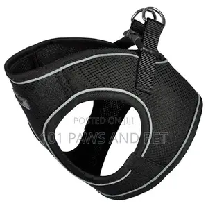 Bunty Harness for Toy Dogs