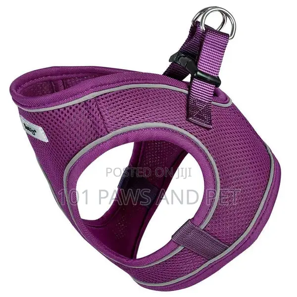 Bunty Harness for Toy Dogs