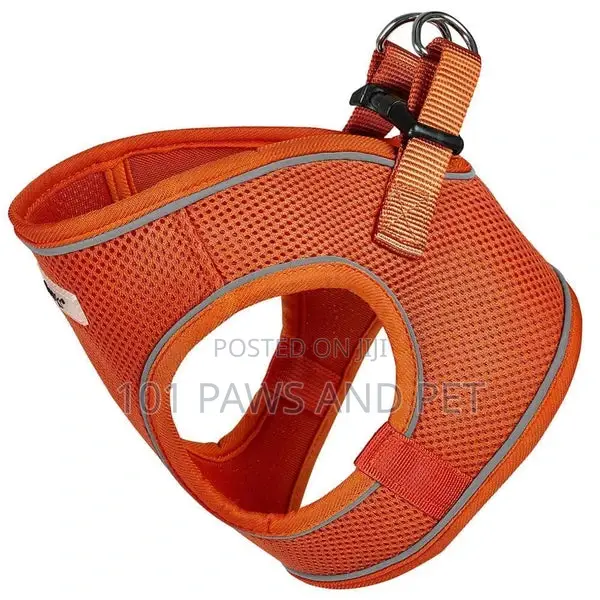 Bunty Harness for Toy Dogs