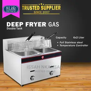 Deep Fryer Gas Double Tank