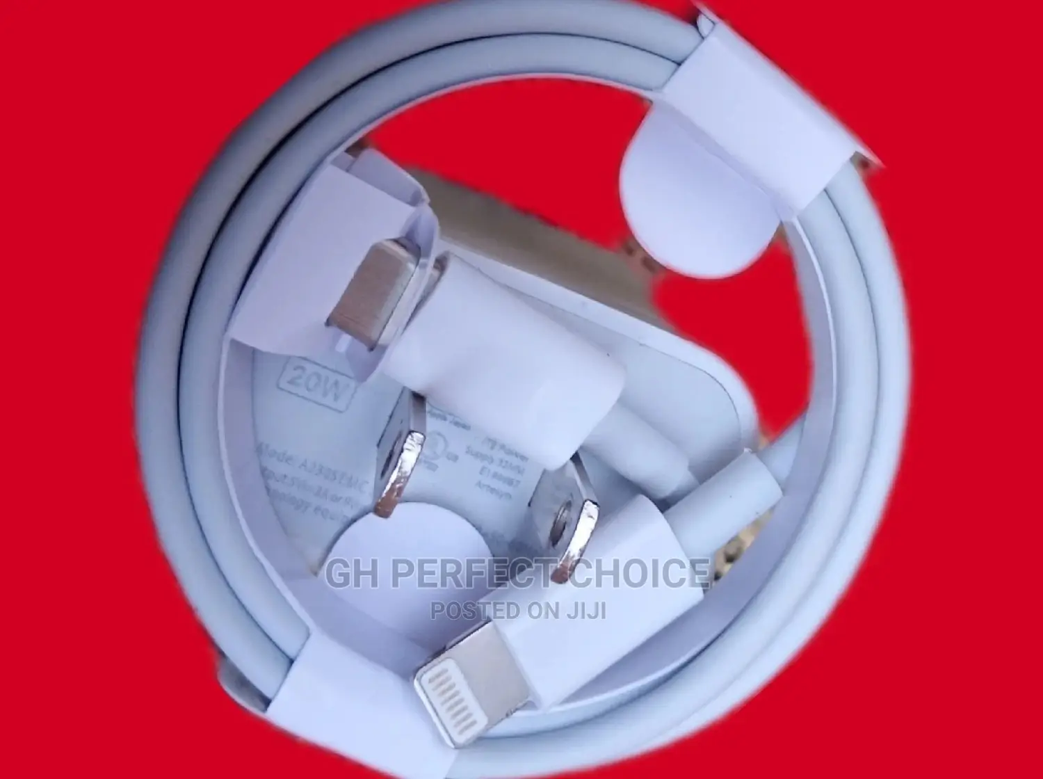 Correct 2 Pin iPhone Charger