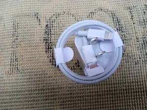 Correct 2 Pin iPhone Charger