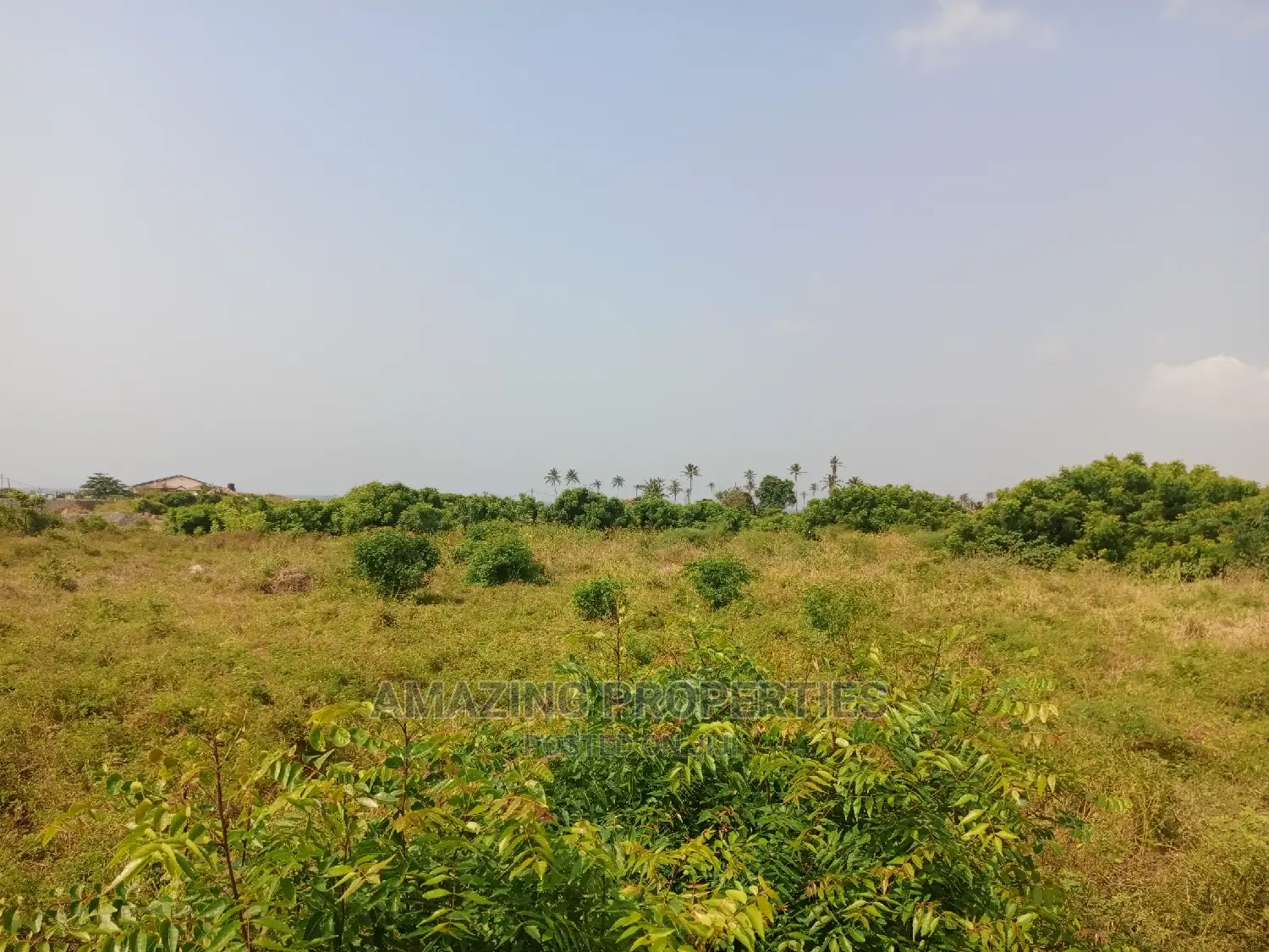 For Sale 50 Acres of Family Land at Somanya