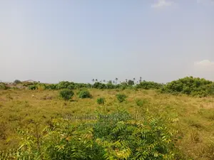 For Sale 50 Acres of Family Land at Somanya