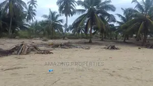 76 Acres Oceanfront Land Ekumpoano - Ekumfi District Central
