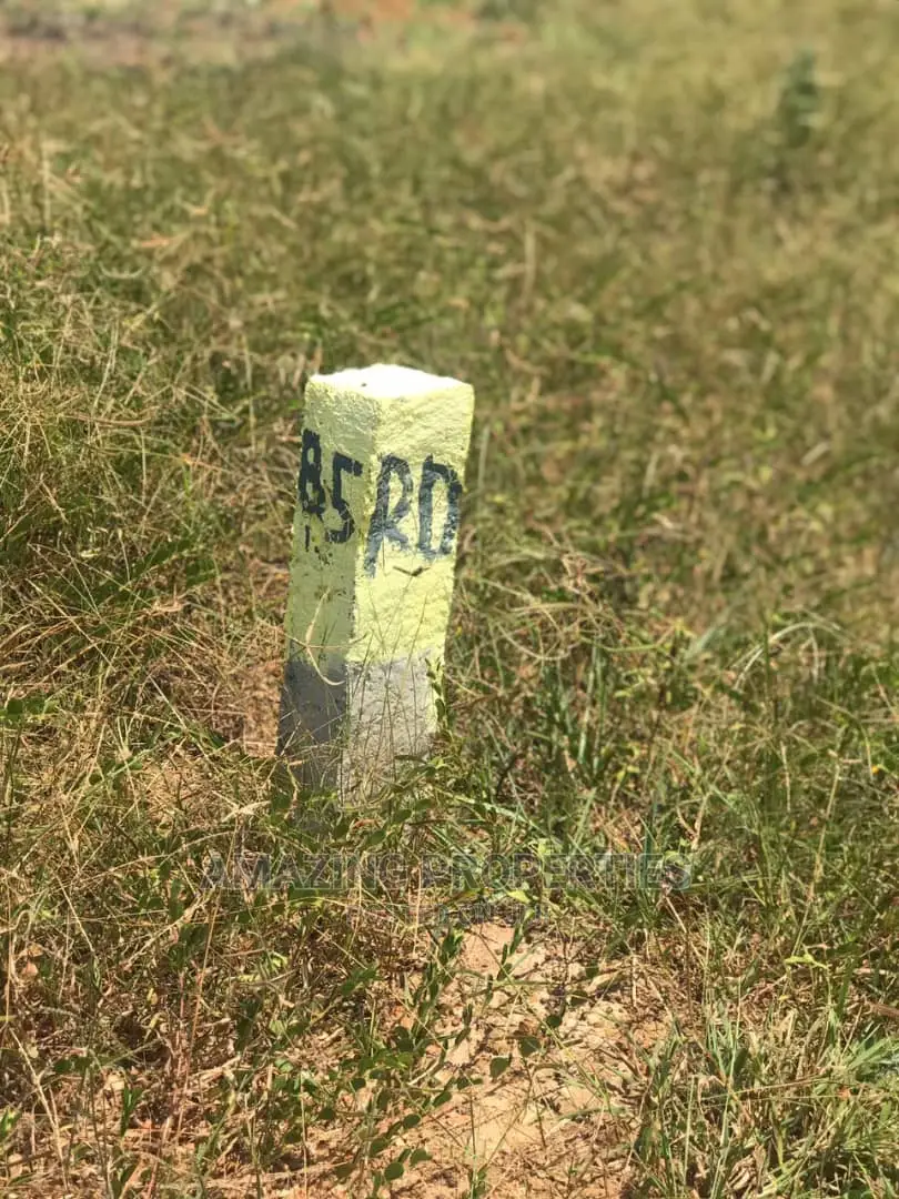 For Sale 120,Acrs of Land at Tsopoli Roadside Land