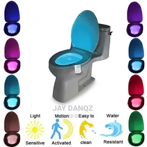 Smart Waterproof Toilet Seat Light