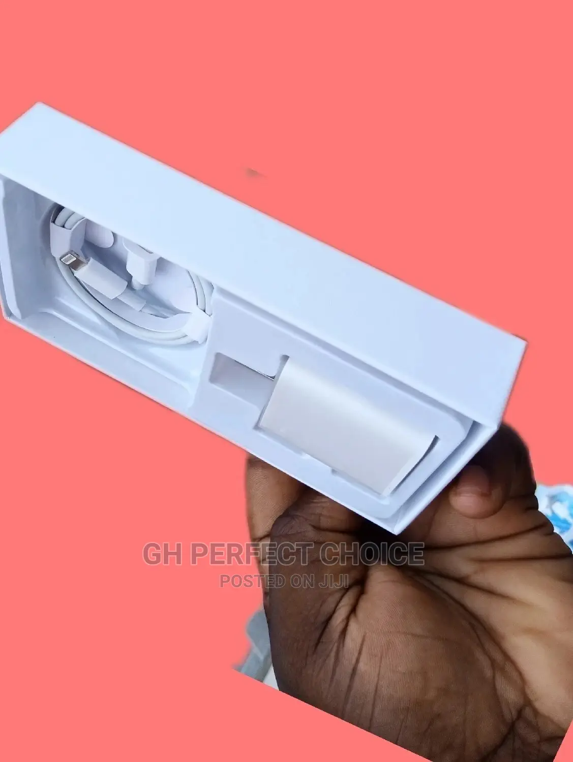 Two Pin Type C iPhone Charger - De Original iPhone Charger