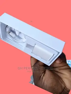 Two Pin Type C iPhone Charger - De Original iPhone Charger