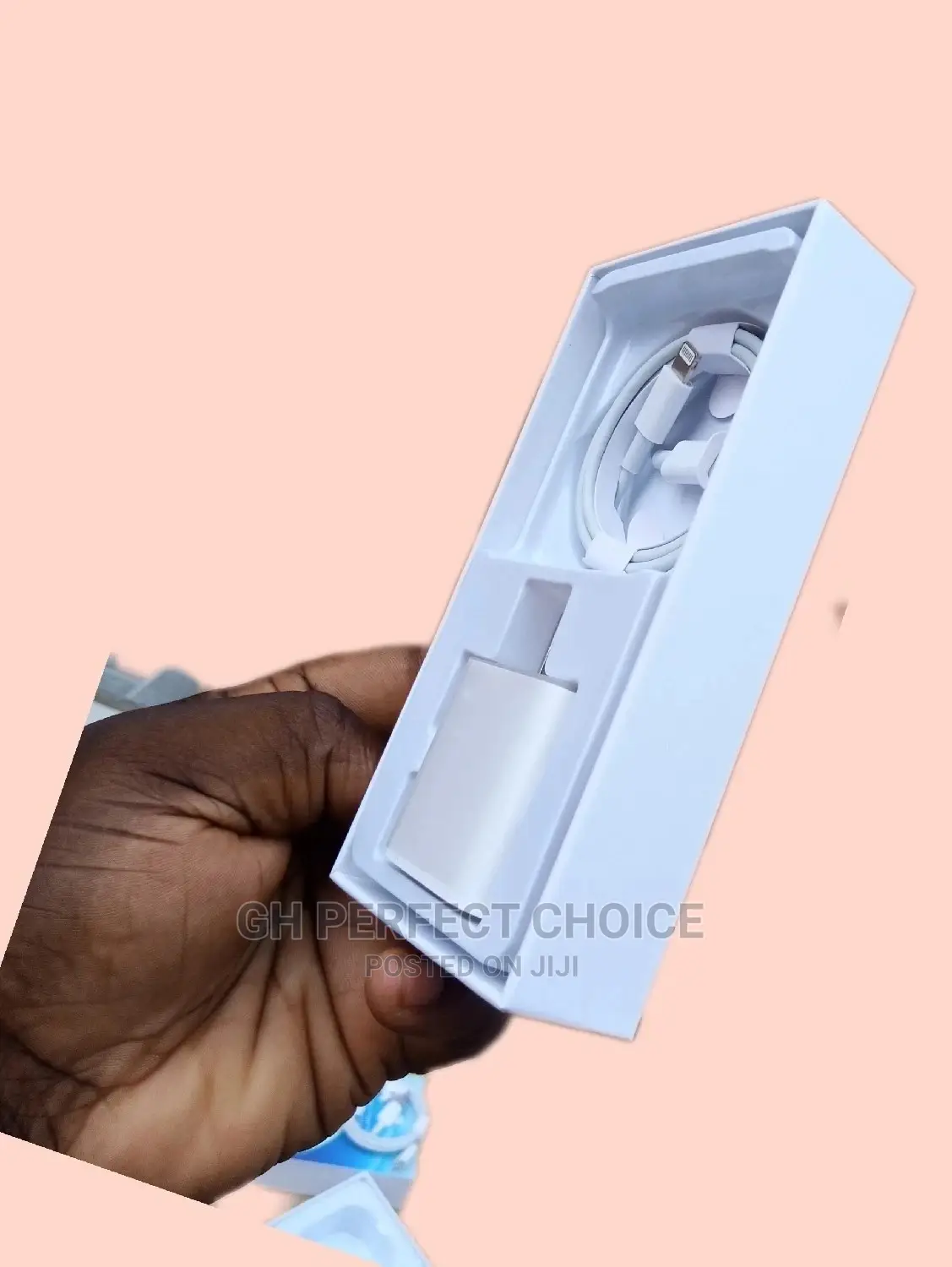 Two Pin Type C iPhone Charger - De Original iPhone Charger