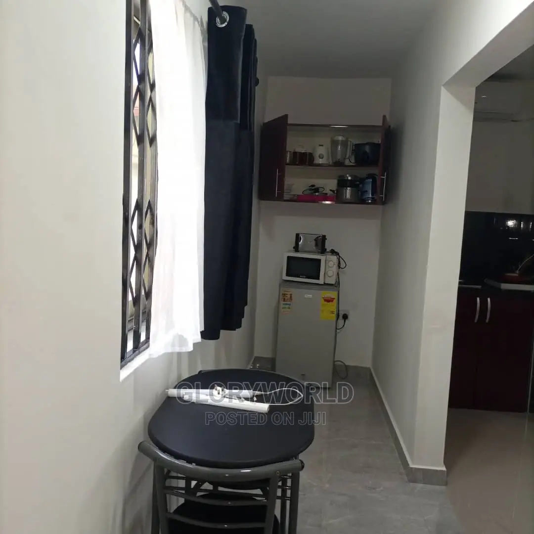 Executive Furnished Studio Apar Totment for Rent at Spintex