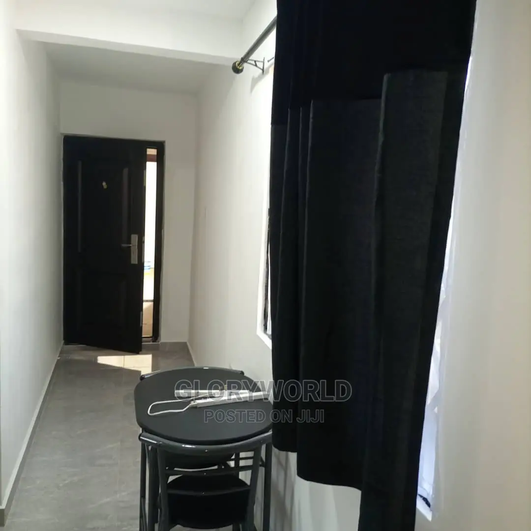 Executive Furnished Studio Apar Totment for Rent at Spintex