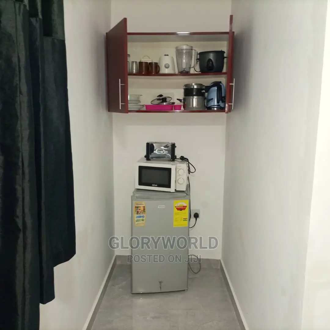 Executive Furnished Studio Apar Totment for Rent at Spintex
