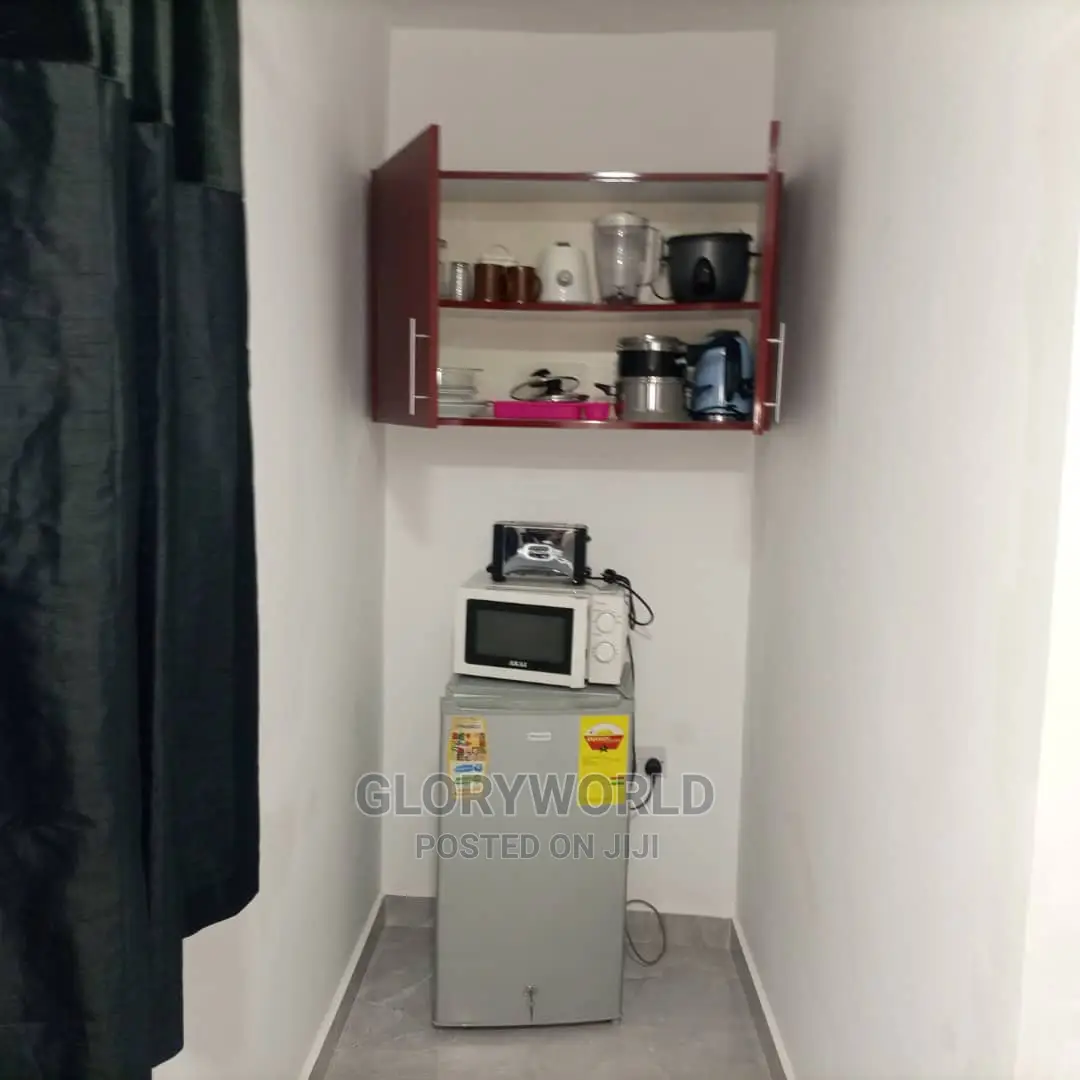 Executive Furnished Studio Apar Totment for Rent at Spintex