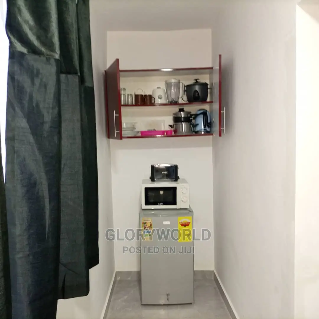 Executive Furnished Studio Apar Totment for Rent at Spintex