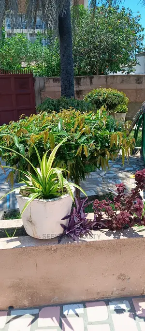 3bdrm Apartment in Seekers Realty, Nyaniba Estate for rent