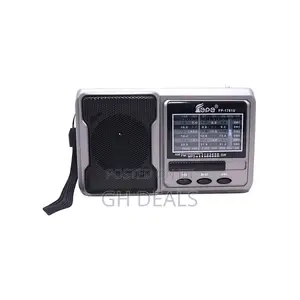 Rechargeable Radio With Usb/Micro SD/Flashlight - Gray