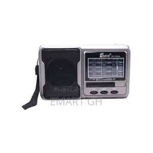 Rechargeable Radio With Usb/Micro SD/Flashlight - Gray