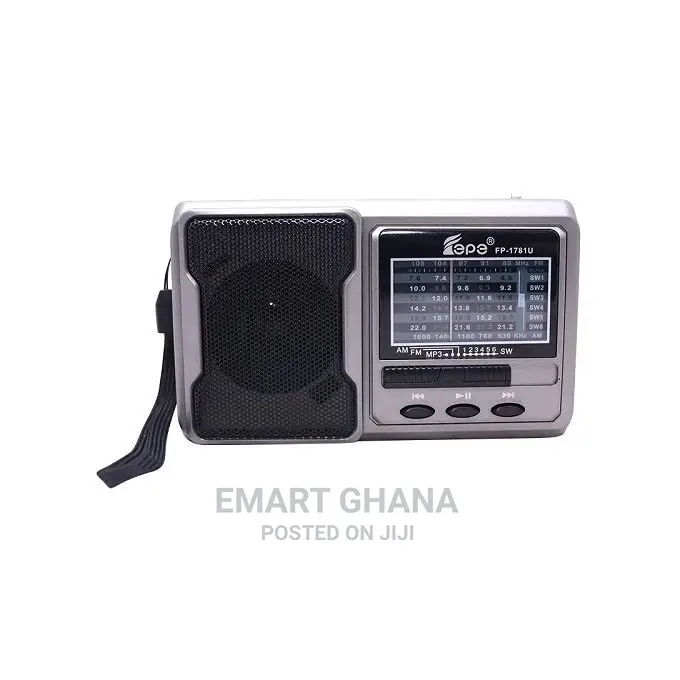 Rechargeable Radio With Usb/Micro SD/Flashlight - Gray