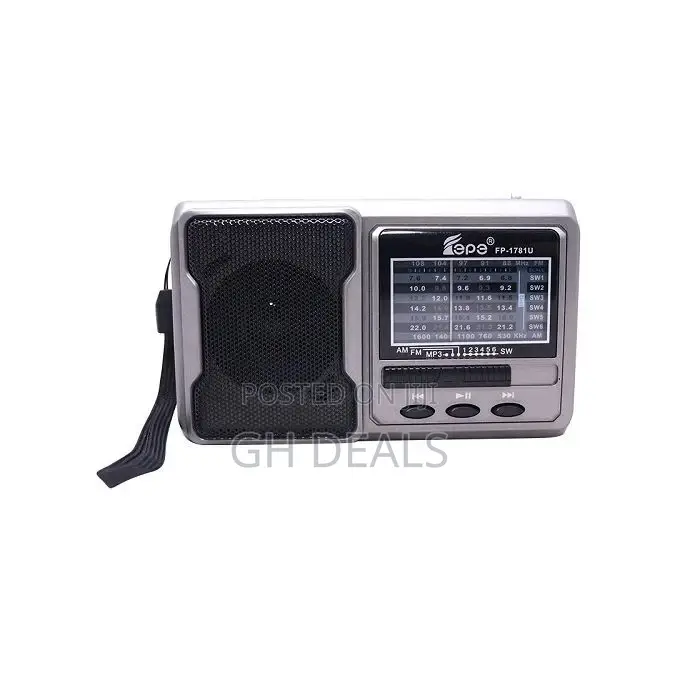 Rechargeable Radio With Usb/Micro SD/Flashlight - Gray