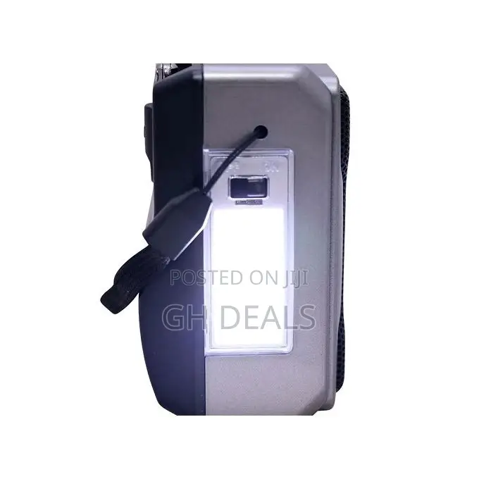Rechargeable Radio With Usb/Micro SD/Flashlight - Gray