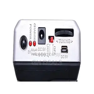 Rechargeable Radio With Usb/Micro SD/Flashlight - Gray