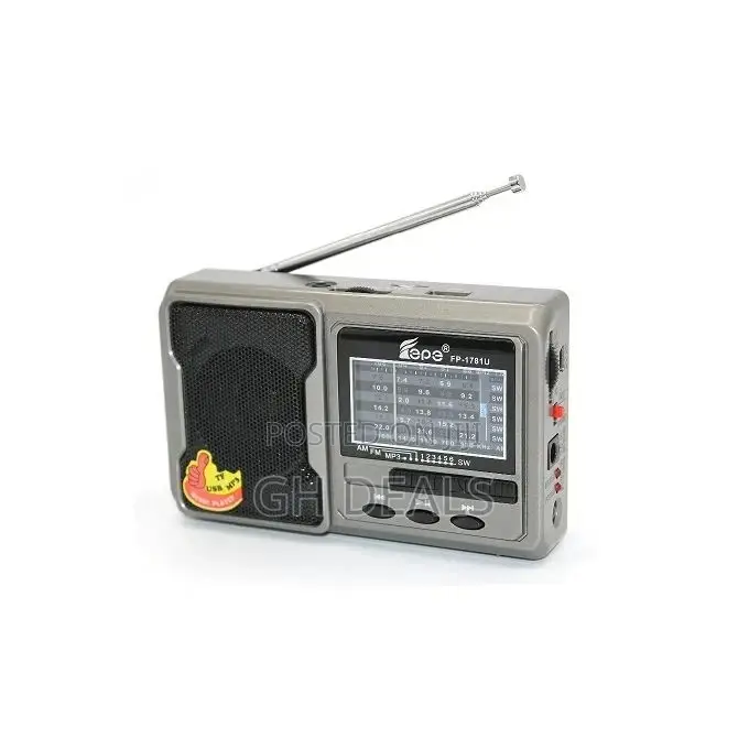 Rechargeable Radio With Usb/Micro SD/Flashlight - Gray