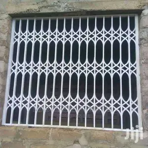 Buglarproof / Metal Windows