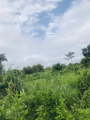 Farmland in Kintampo for Sale, Negotiable