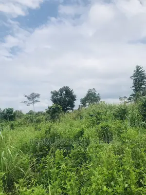 Farmland in Kintampo for Sale, Negotiable