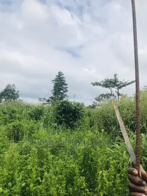 Farmland in Kintampo for Sale, Negotiable