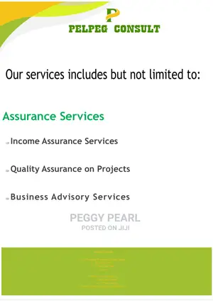 Income / Quality Assurance Services