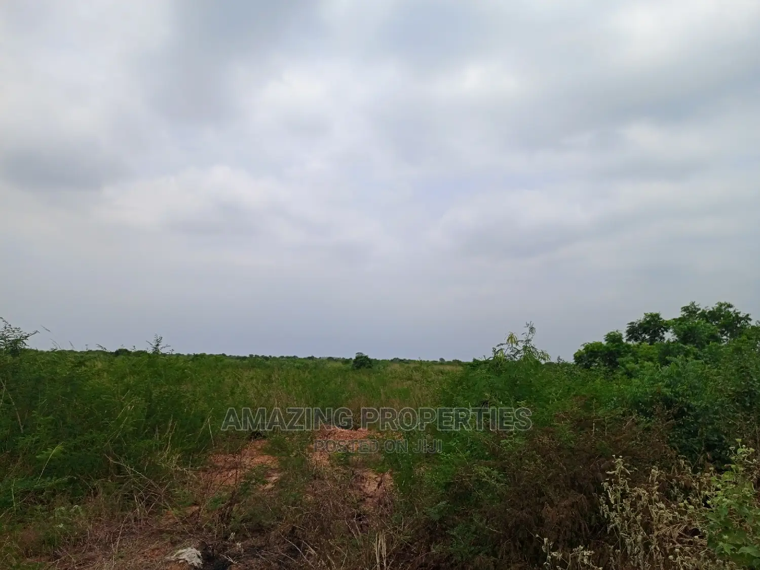 50 Acres of Land at Ada River Front Land.
$120,000 Per Acre