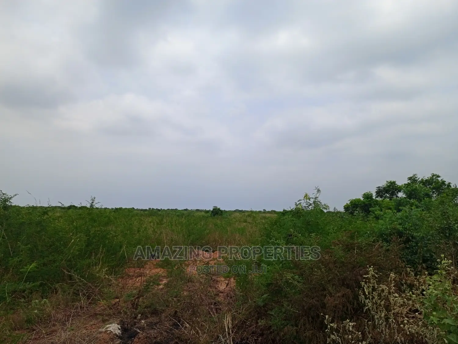 50 Acres of Land at Ada River Front Land.
$120,000 Per Acre
