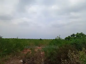 50 Acres of Land at Ada River Front Land.
$120,000 Per Acre