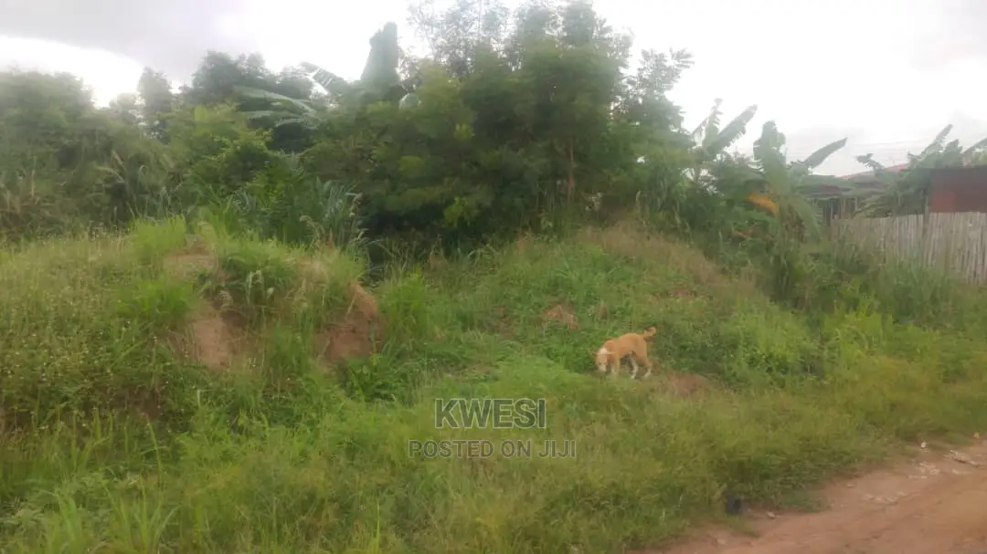 Land For Sale Tema TDC Ghana in Tema Metropolitan Land & Plots for