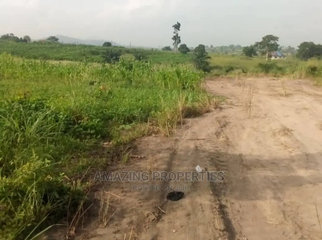 100/70 Plots of Land at Adjirigarnor