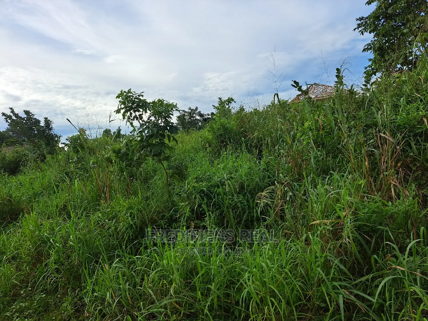 A Land at Antoa for Sale