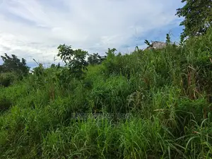 A Land at Antoa for Sale