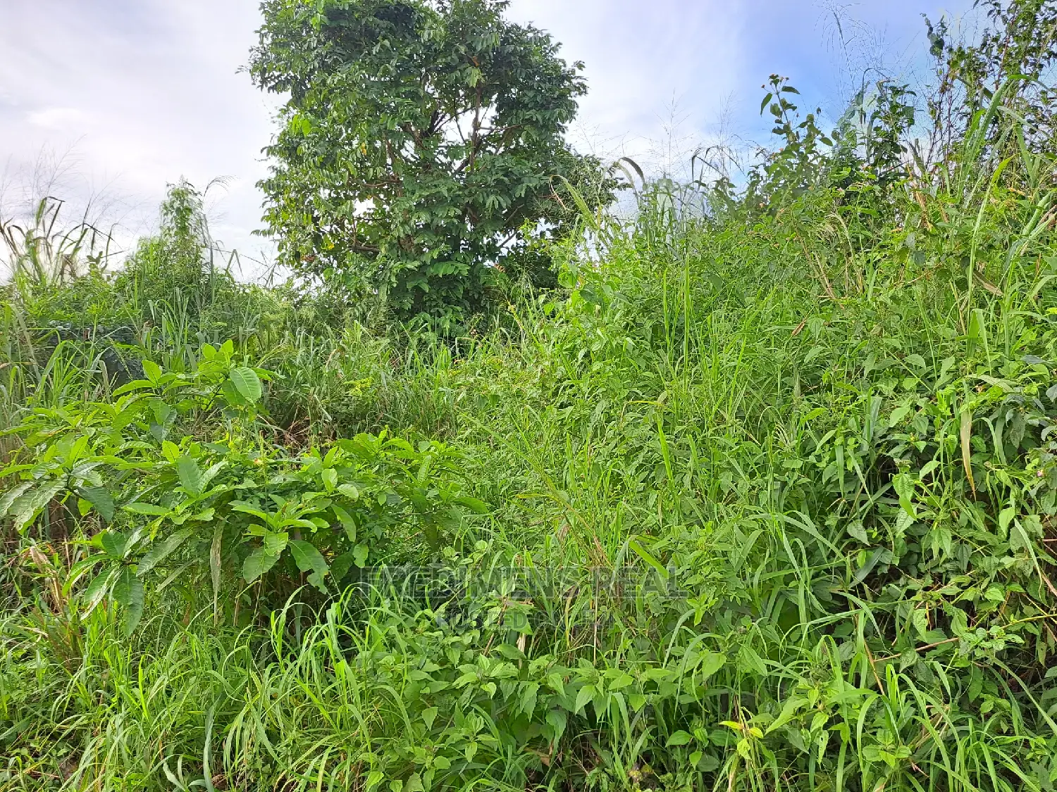 A Land at Antoa for Sale