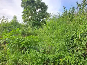 A Land at Antoa for Sale