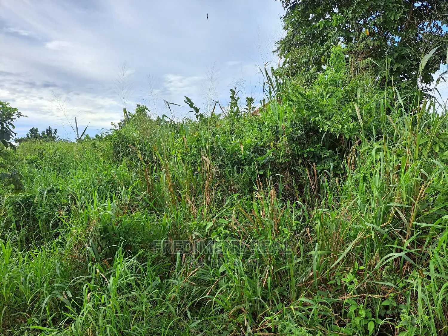 A Land at Antoa for Sale