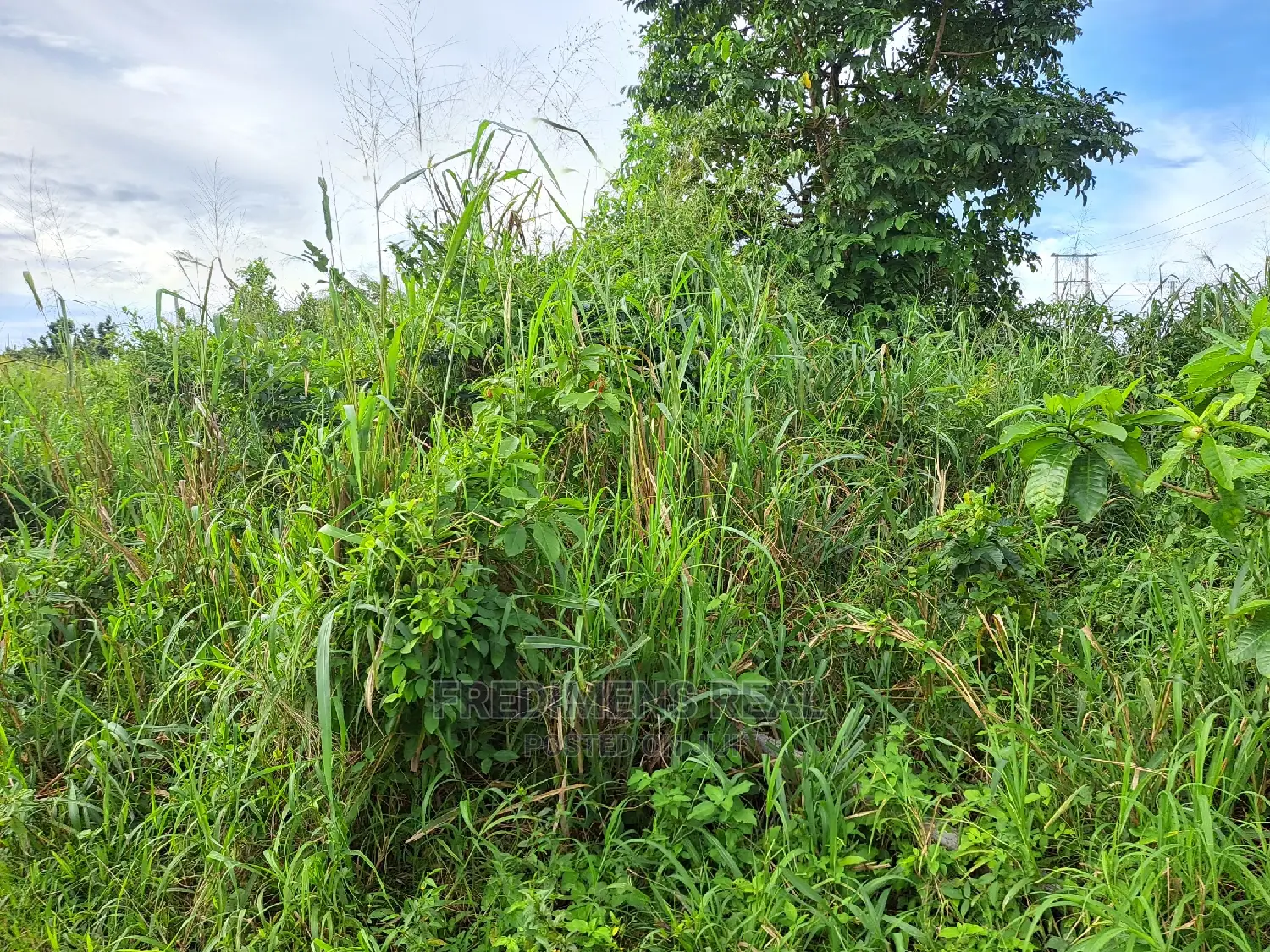 A Land at Antoa for Sale