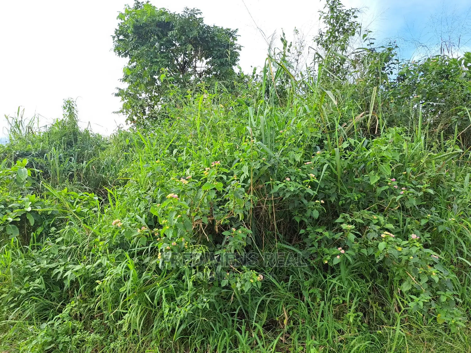 A Land at Antoa for Sale