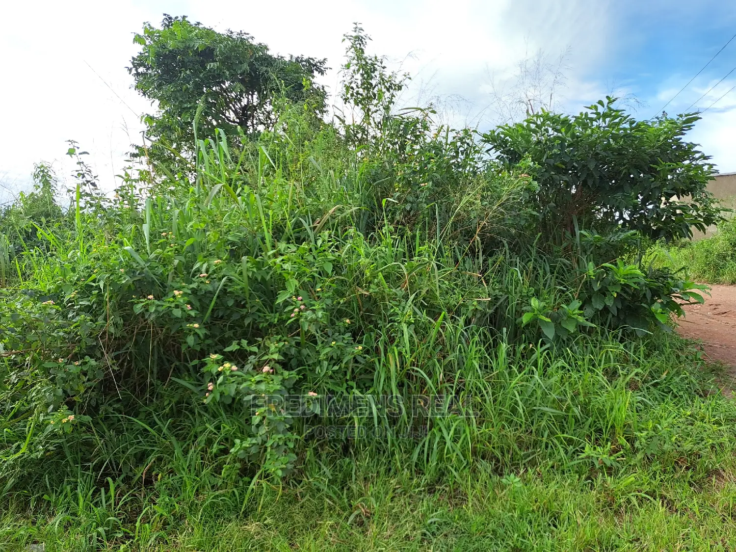 A Land at Antoa for Sale