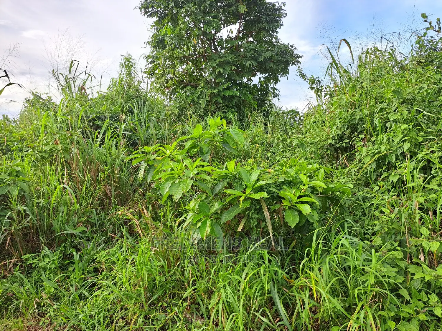 A Land at Antoa for Sale
