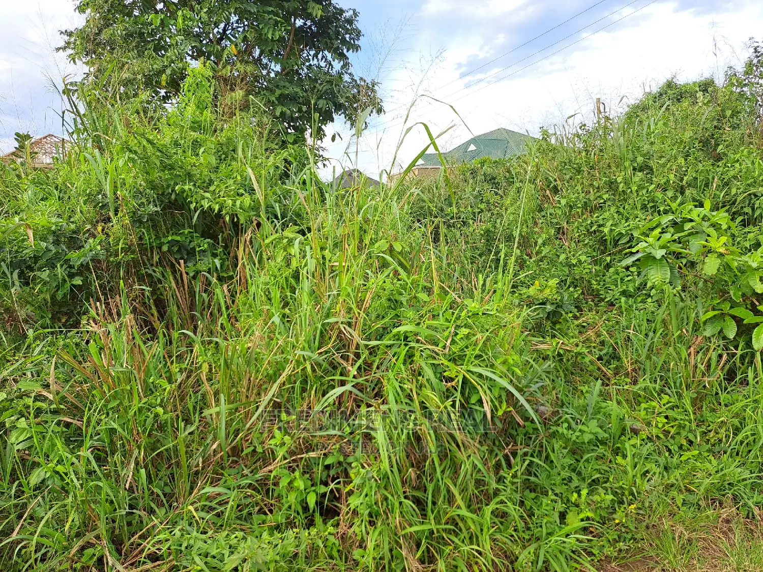 A Land at Antoa for Sale