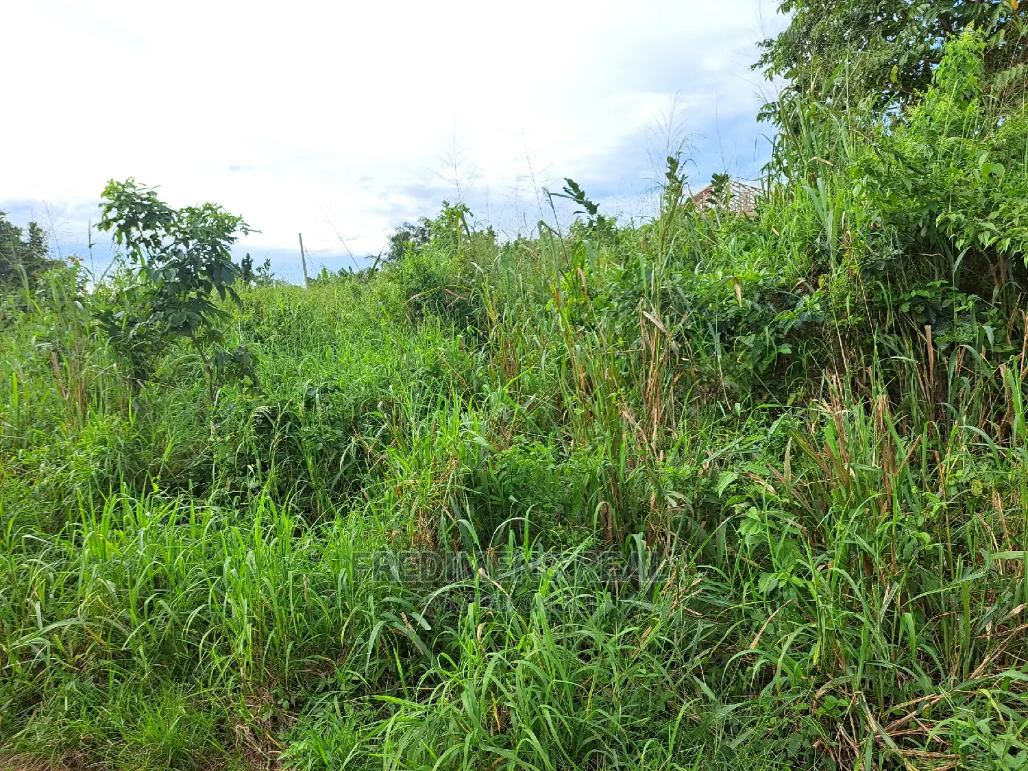 A Land at Antoa for Sale