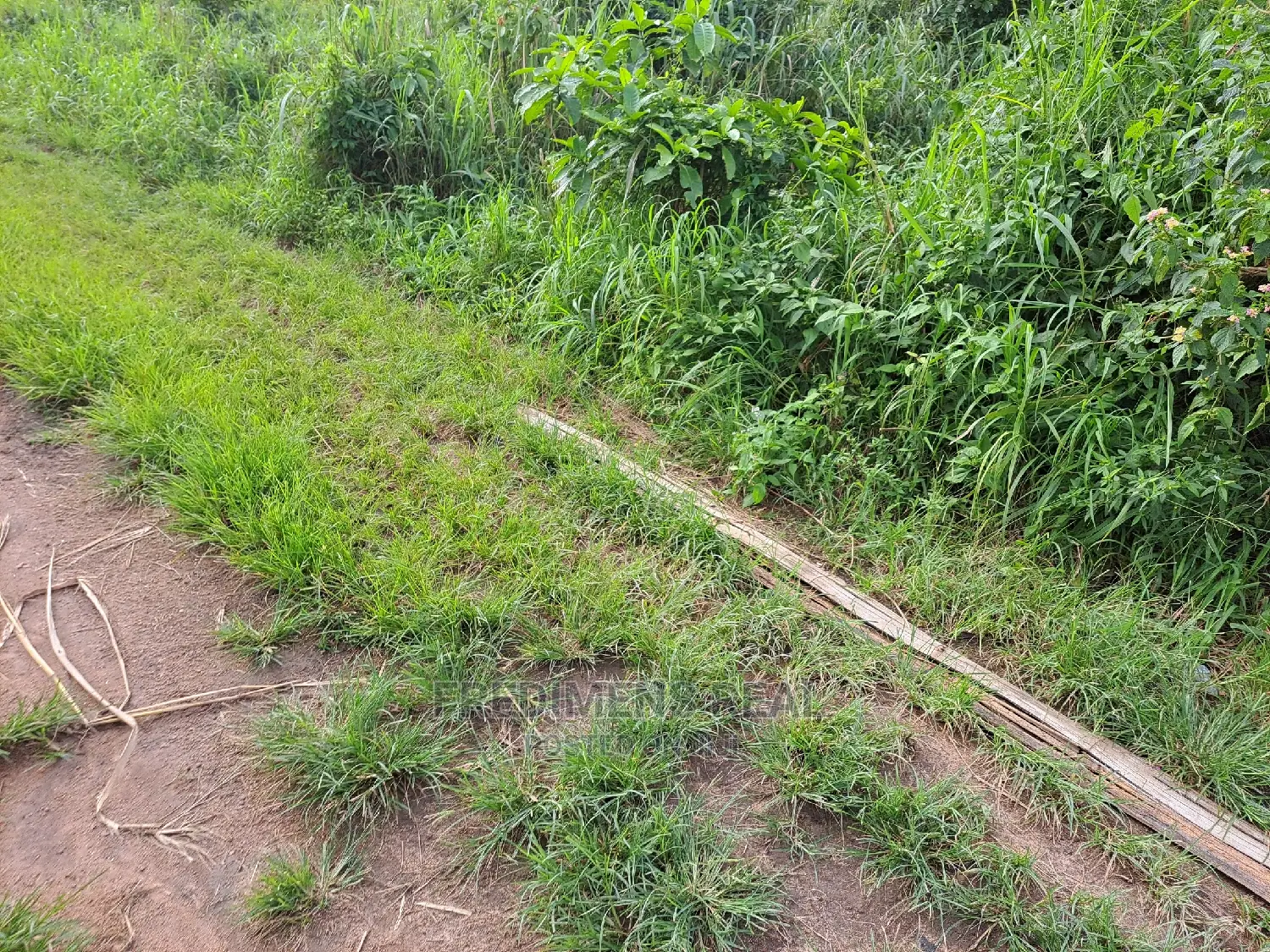 A Land at Antoa for Sale