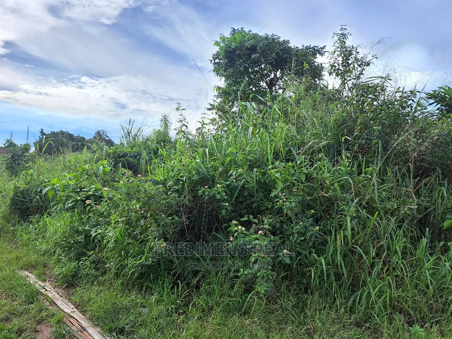 A Land at Antoa for Sale